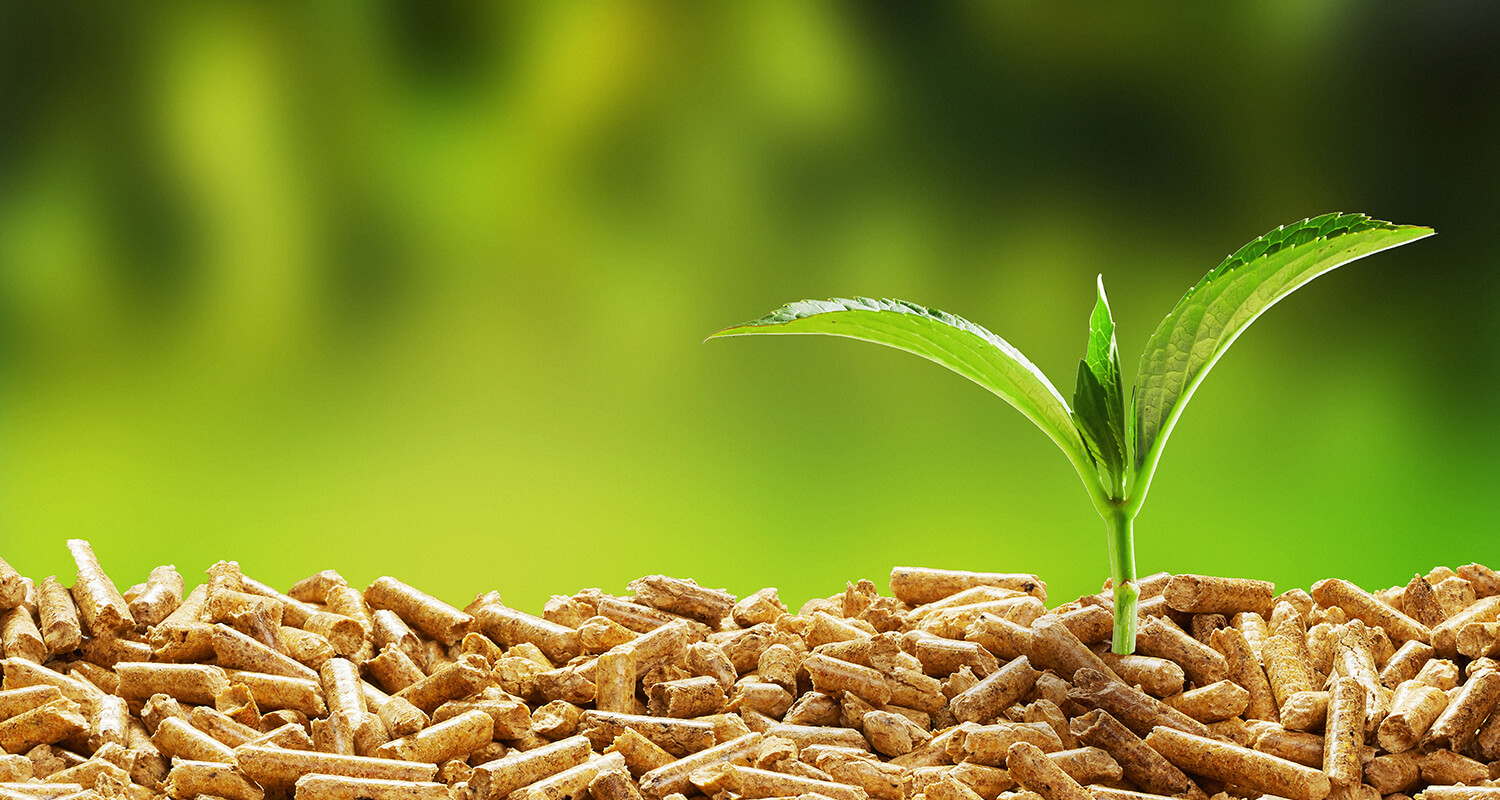 Regenerative Energien - Dangel Sanitär- und Heizungsanlagen